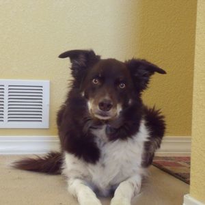 Meet your Posher, Deanne